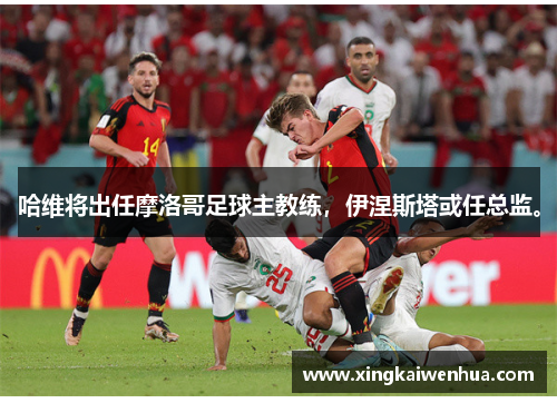 哈维将出任摩洛哥足球主教练，伊涅斯塔或任总监。